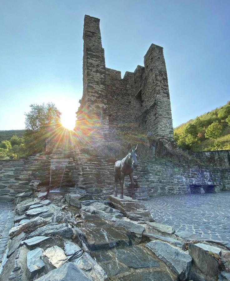 Roosartige Ferien - Ferienwohnung Am Weiherturm Bacharach Extérieur photo
