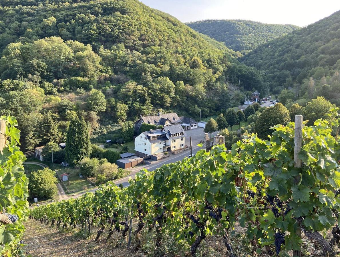 Roosartige Ferien - Ferienwohnung Am Weiherturm Bacharach Extérieur photo