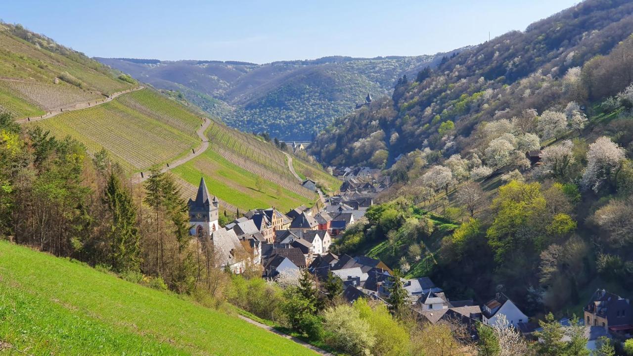 Roosartige Ferien - Ferienwohnung Am Weiherturm Bacharach Extérieur photo
