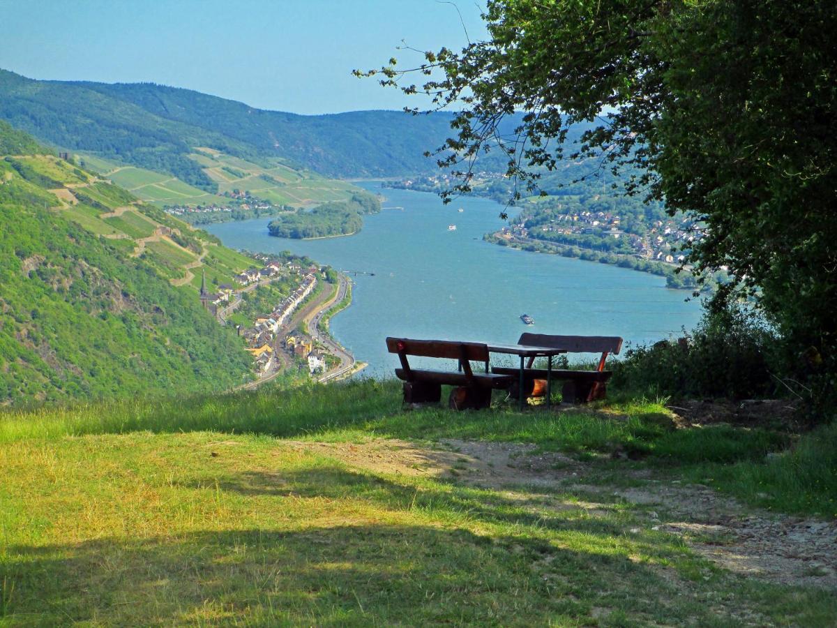 Roosartige Ferien - Ferienwohnung Am Weiherturm Bacharach Extérieur photo