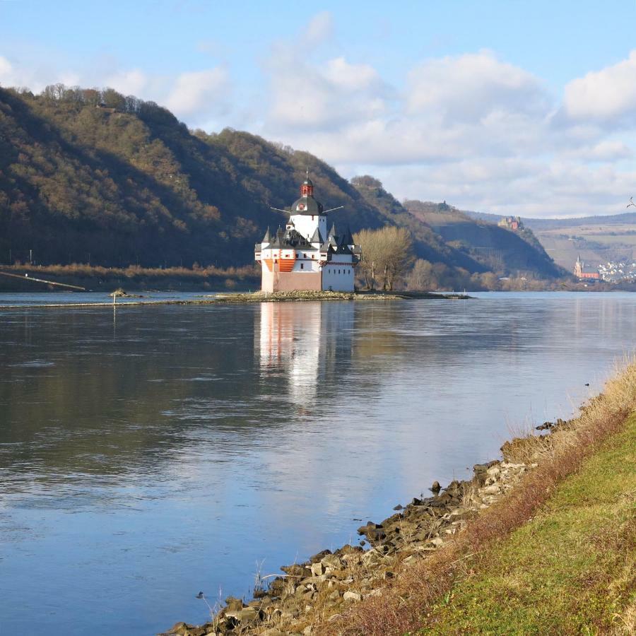 Roosartige Ferien - Ferienwohnung Am Weiherturm Bacharach Extérieur photo