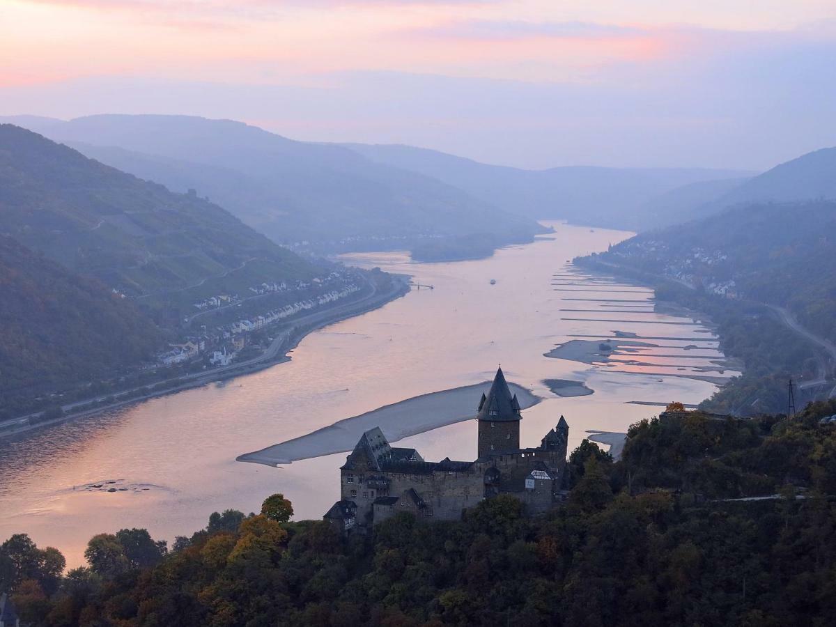 Roosartige Ferien - Ferienwohnung Am Weiherturm Bacharach Extérieur photo